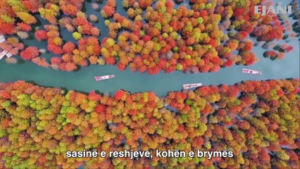 Kinë, kremtohet Festa e Korrjeve të Fermerëve për të uruar korrje të bollshme