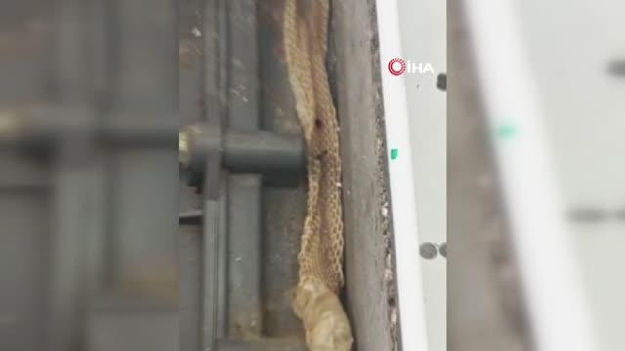 Tamir ettiği çamaşır makinesinden yılan derisi çıktı
