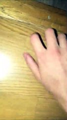 This Spider Is an Escape Artist