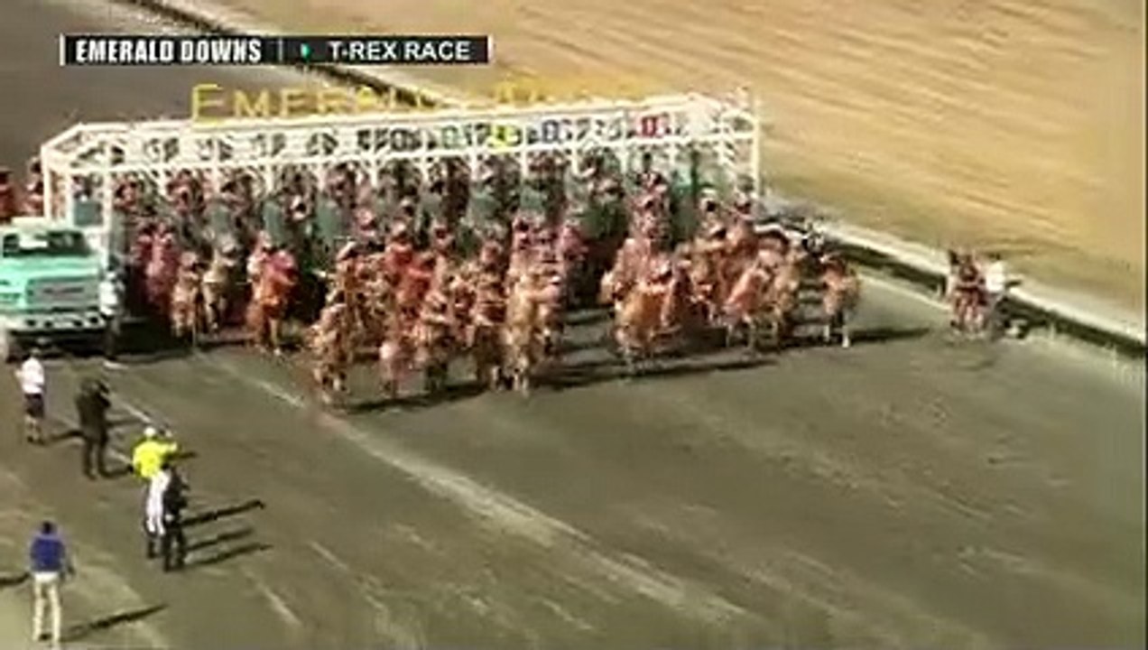 T-Rex racing