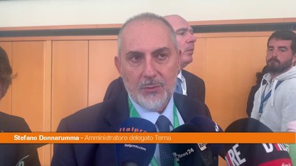 Donnarumma "L'alternativa al gas russo sono le rinnovabili"