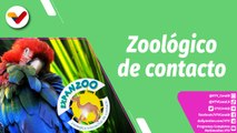 Buena Vibra Plus | Un día en el zoológico interactivo de contacto “Expanzoo”