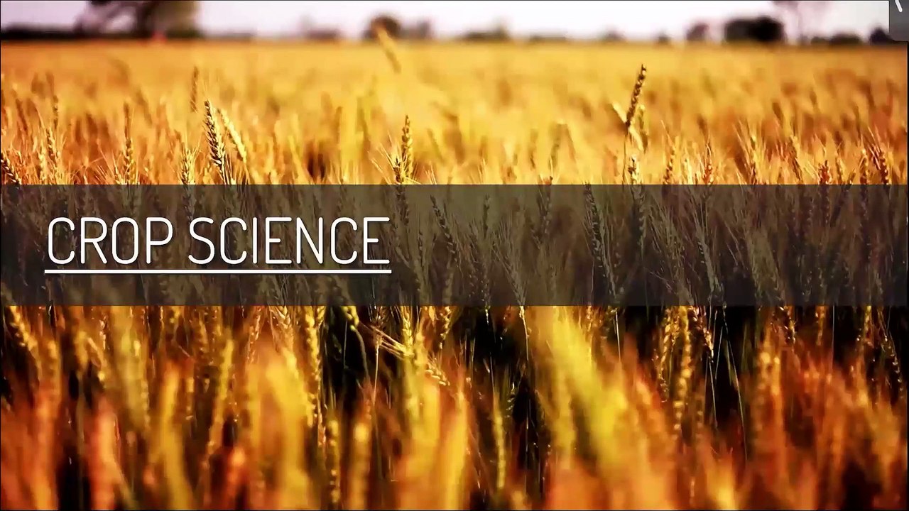 CropSci Sept 24 part 4