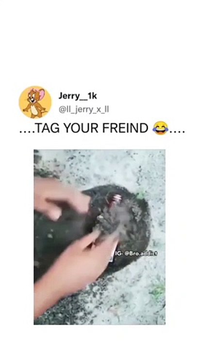 Tag your friend