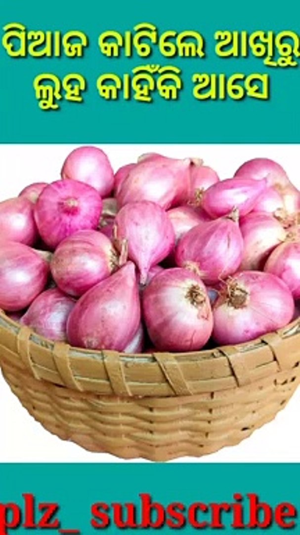 Onion fact - video Dailymotion