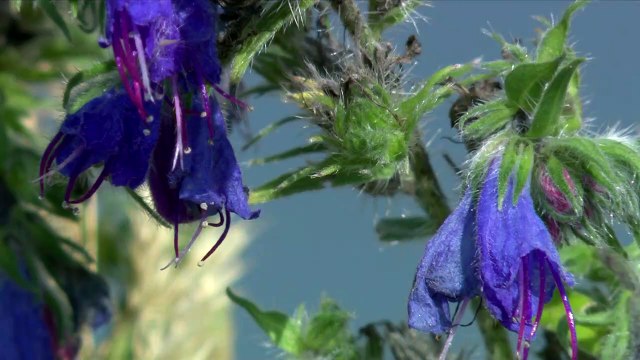 2022 World Rowing Championships - Račice, Czech Republic - Lightweight Men's Double Sculls (LM2x) A-final