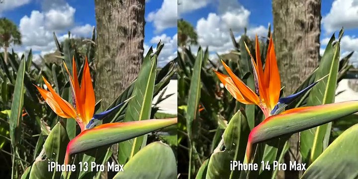 iPhone 14 Pro Max vs iPhone 13 Pro Max Unboxing and Camera Test_ 48MP!