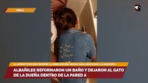 Albañiles reformaron un baño y dejaron al gato de la dueña dentro de la pared