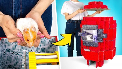 Labyrinthe De Cinq Étages Avec Obstacles Pour Hamster