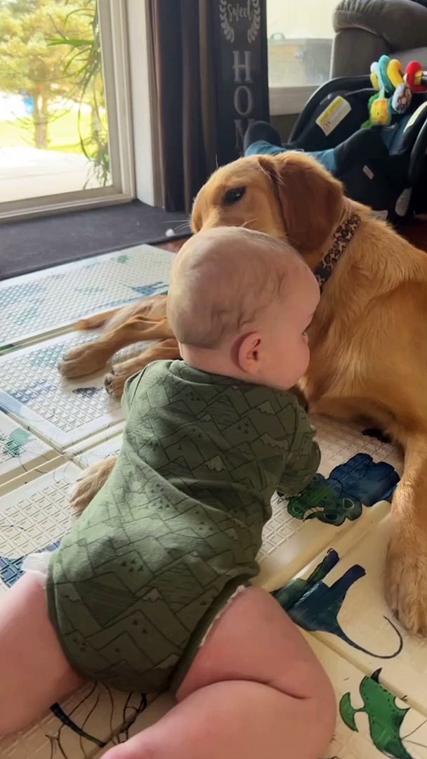 When Can I Give My Dog A Bath After Giving Birth