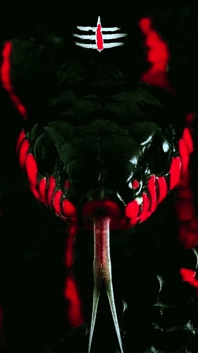 instagram_video