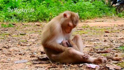 Full action of Libby weaning milk Rainbow!