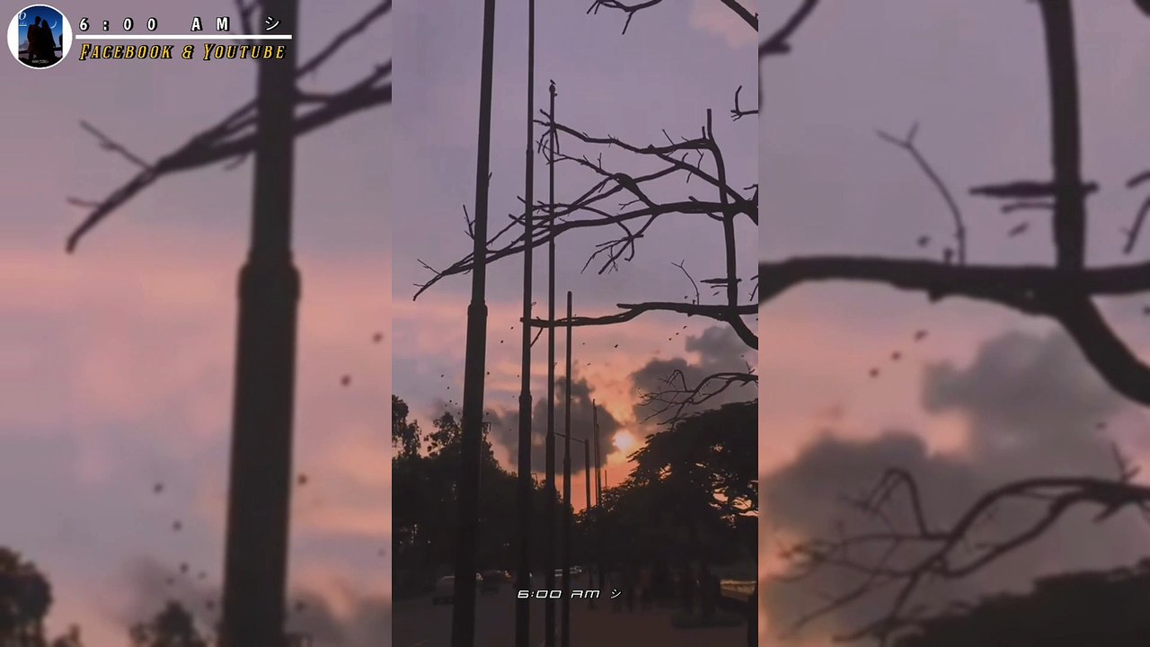 Weather tatus video |