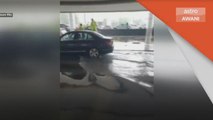 Banjir Kilat | LTAPP turut dilanda banjir kilat