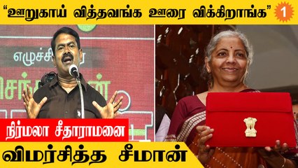 பொதுத்துறை என்ற ஒன்றே இல்லாத நாடு இந்தியா | சீமான் ஆவேசம்