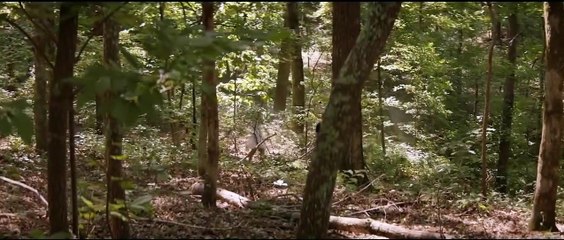 After : Chapitre 1 Bande-annonce (TR)