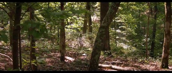 After : Chapitre 1 Bande-annonce (DE)