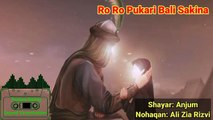 Ro Ro Pukari Bali Sakina | Shayar: Anjum | Nohaqan: Ali Zia Rizvi | old Noha lyrics | Purane Nohay