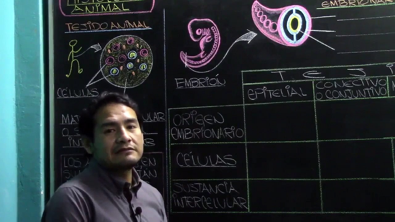 02 | HISTOLOGÍA HUMANA 1: Tejido Epitelial