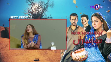 Mor Moharan  Episode 19 Teaser  Mor Moharan Drama  TVONE Drama   TVONE