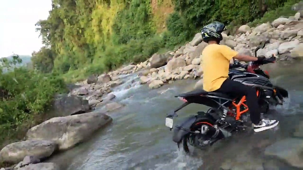 New scooty jungle mein fhas Gaya