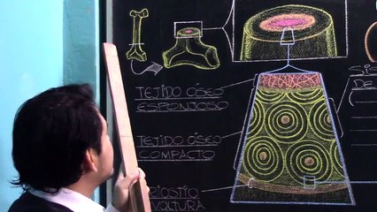 05 | TEJIDO ÓSEO Y CARTILAGINOSO