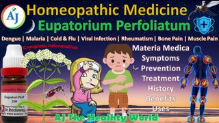 Eupatorium Perfoliatum | Anti-Dengue & Anti-Malaria Homeopathic Medicine | Viral & Flu | Urdu/Hindi
