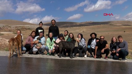 Baba oğul köpekleri besleyen kadınlara saldırdı