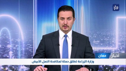 معان: وزارة الزراعة تطلق حملة لمكافحة النمل الأبيض