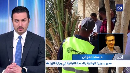 الكرك: الزراعة تكافح آفة النمل الأبيض في عدد من المدارس