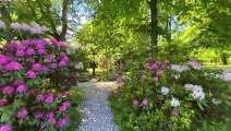 Sightseeing Picturesque Svartå Manor (Mustio), Finland