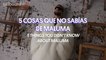 5 Things You Didn’t Know About Maluma | Billboard