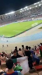 Un supporter pénètre sur la pelouse d'Oran et dribble la police