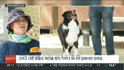 반려견 놀이터 '혐오시설' 논란…"공존 방법 찾아야"