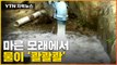 [자막뉴스] 마른 모래에서 물이 '콸콸콸'...어떻게 이런 일이? / YTN