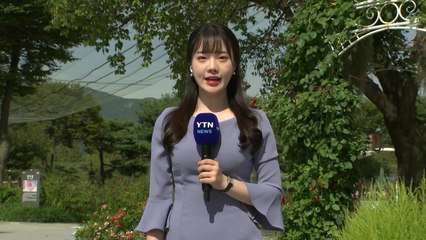 [날씨] 쾌청한 가을, 장미꽃 만발...큰 일교차 주의 / YTN