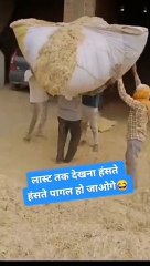 short comedy video, comedy video, Funny Video!! Comedy videos!! Best Funny Video,