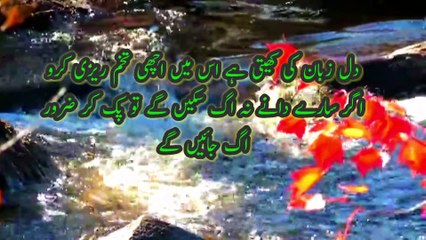 Islamic Quotes | islami aqwal e zareen islami Aqwal