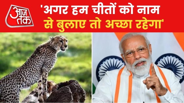 'We should name the Cheetahs', PM in Mann Ki Baat