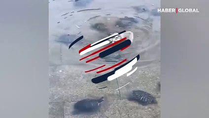 Ölmek üzere olan hemcinsine yardıma gelen kaplumbağalar duygulandırdı