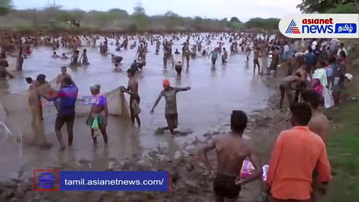 15 ஆண்டுகளுக்கு பிறகு நடந்த மீன்பிடித் திருவிழா.. பெரிய, பெரிய மீன்களை பிடித்து மகிழ்ந்த மக்கள்..