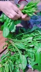 পালং শাকের চিংড়ি মাছ রান্না 🥘