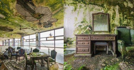 Il visite un hôtel abandonné en Irlande et se retrouve dans un lieu digne de la Planète des singes