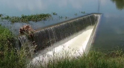 โคราช เตรียมรับ “โนรู” เฝ้าระวังน้ำท่วมเฉียบพลัน 10 อำเภอ