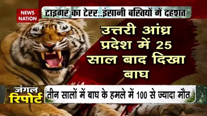 Jungle Report : स्लाइडिंग करते छोटे हाथी का वीडियो वायरल | Baby Elephant sliding |