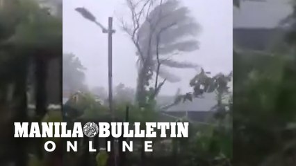 Strong winds batter trees and houses in Brgy. Bonbon, Panukulan, Quezon due to 'Karding'
