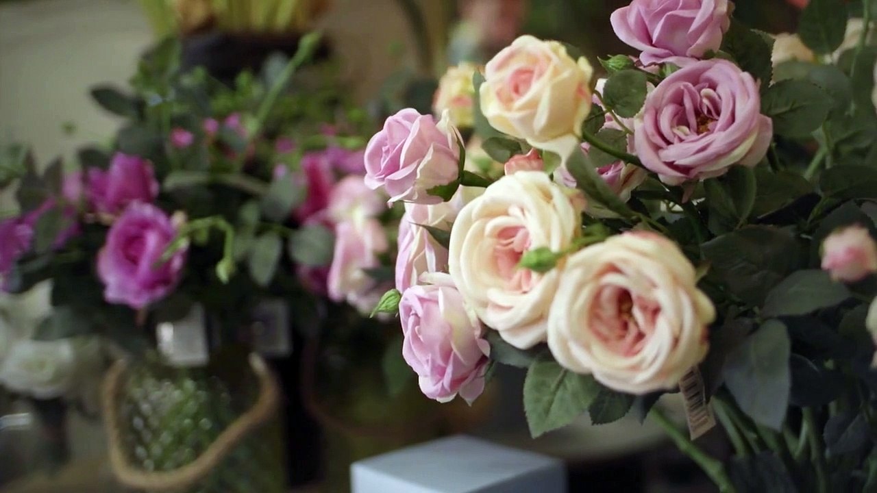 Liebe im Spektrum Staffel 1 Folge 1 HD Deutsch