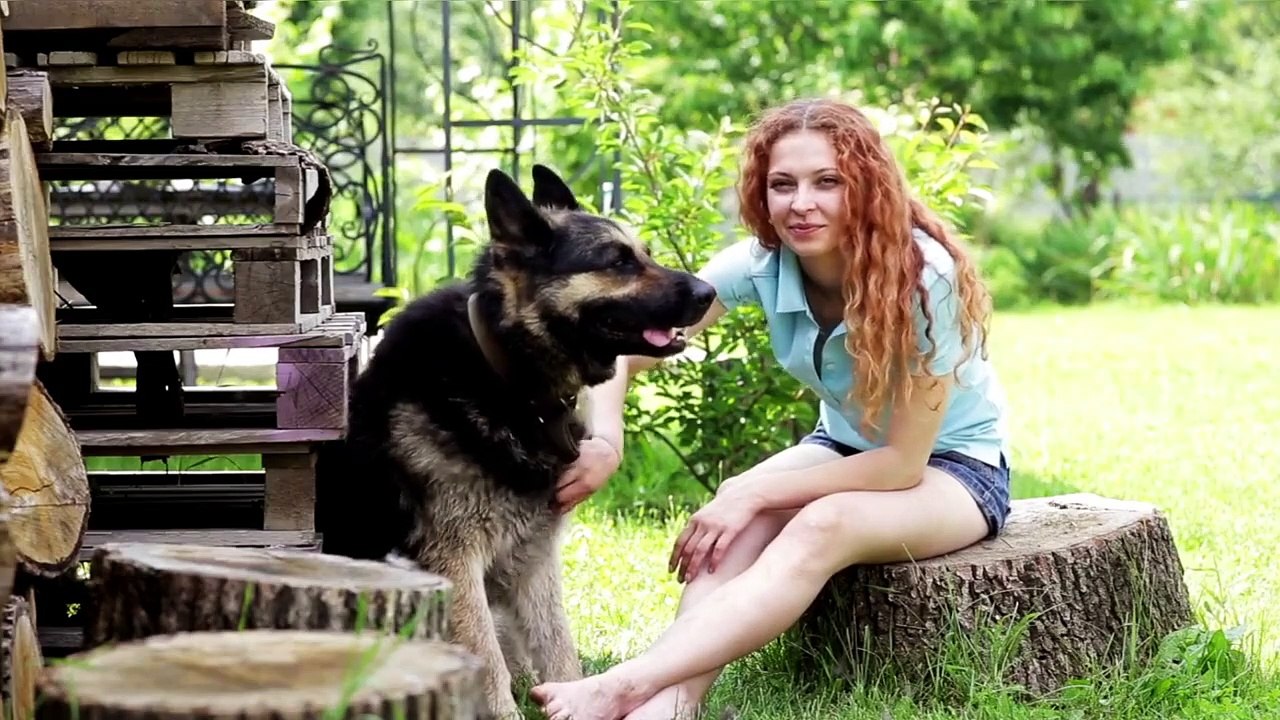 Most Loyal Dogs – TOP 20 Most Loyal Dog Breeds In The World!