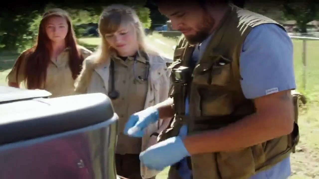 Die Irwins - Crocodile Hunter Family Staffel 2 Folge 8 HD Deutsch