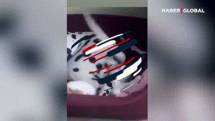 Fark etmeden kuyruğu ile kediyi döven köpek güldürdü